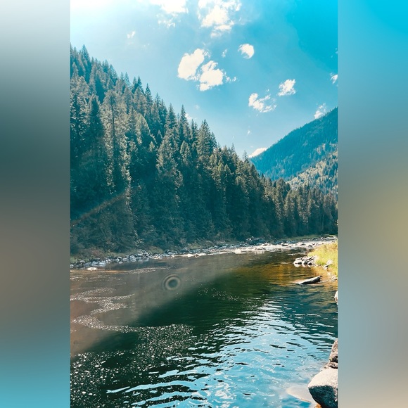 Meet your Posher, Karlee - Picture 9 of 10